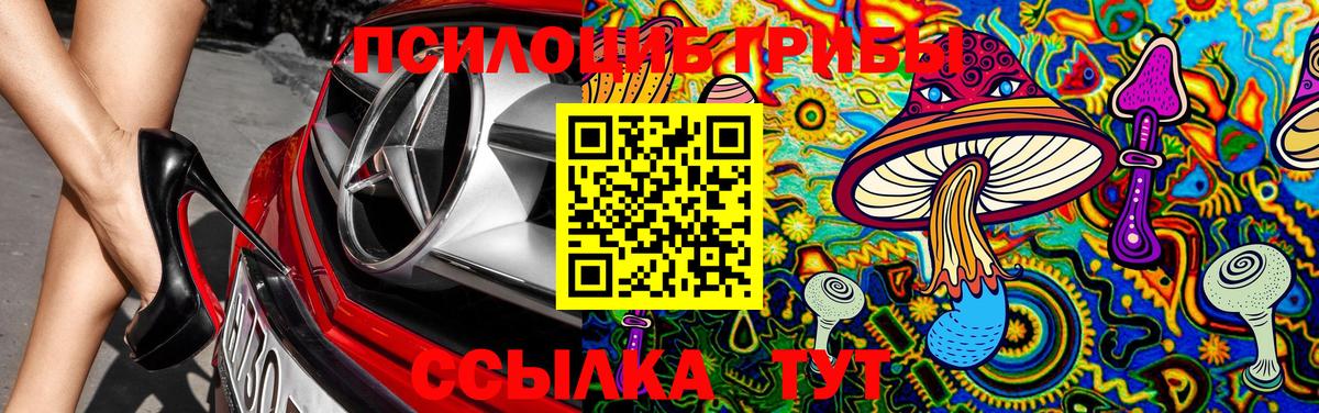 Галлюциногенные грибы Magic Shrooms Луховицы
